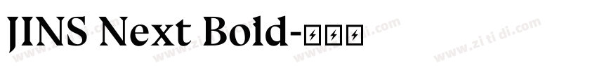 JINS Next Bold字体转换